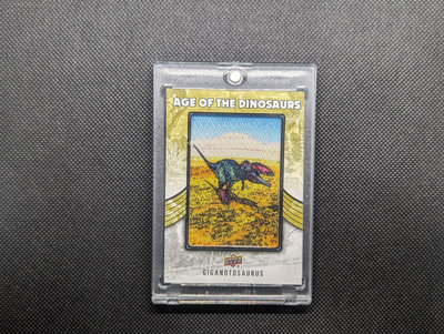2015 Upper Deck UD Goodwin Dinosaurs 恐龍卡系列 恐龍時代卡 刺繡卡 限量特殊卡
