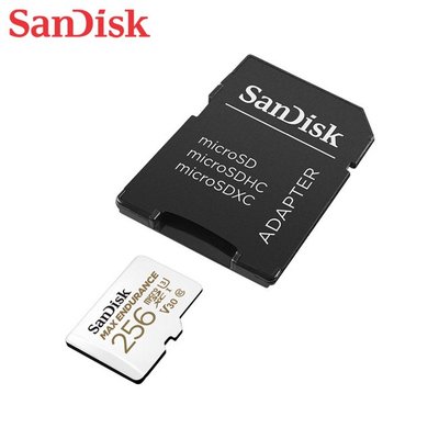 SanDisk MAX ENDURANCE 極致耐寫 小卡 256G 長時錄影專用 (SD-SQQVR-256G)