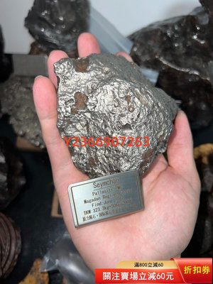 Seymchan隨城隕石橄欖隕石石鐵隕石隕石 文玩 隕石 收藏【民國文玩】-2495