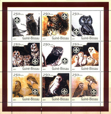 幾內亞比紹鳥小版 郵票  明信片 紀念票【錢幣收藏】14051