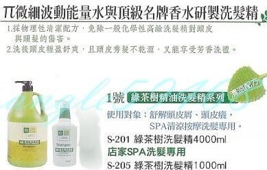 天使髮窩~SSUNE 尚億 1號 綠茶樹洗髮精 (綠茶樹精油)4000ml.特惠價750元.可超取