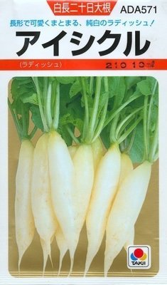 日本手指白蘿蔔種子300粒30元