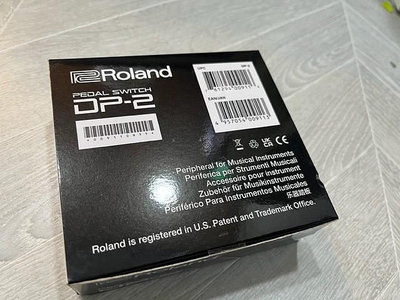 賣 全新 我最便宜 roland DP-2 延音踏板 電子琴 電鋼琴 用