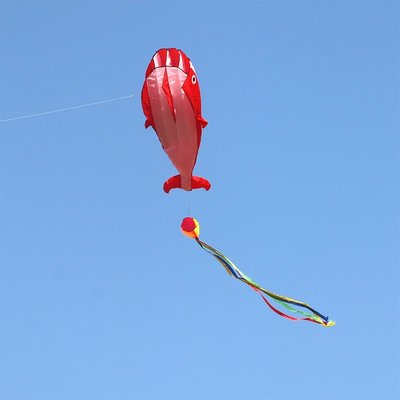 特賣-風箏風箏大人專用大型高檔軟體鯨魚海豚風箏無骨架濰坊風箏微風易飛