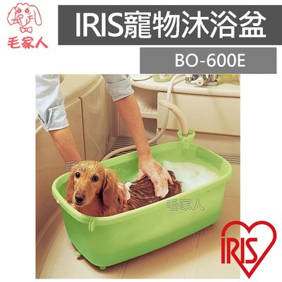 毛家人-日本IRIS寵物沐浴盆-小【BO-600E】狗泡澡,寵物洗澡