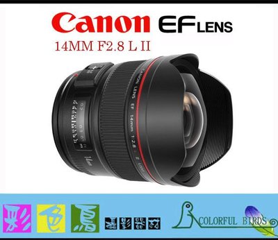 彩色鳥 (鏡頭出租 租鏡頭 ) Canon EF 14mm f2.8L II USM 超廣角 新二代鏡