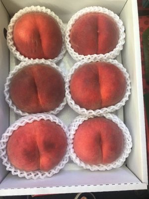 日本溫室水蜜桃🍑