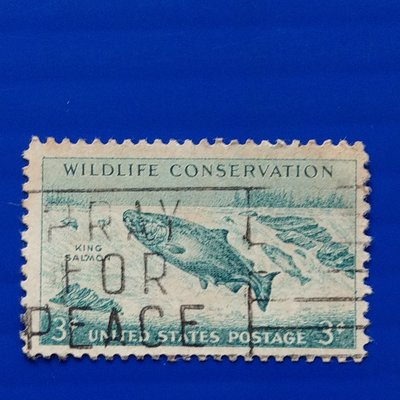 【大三元】美洲舊票-美國1956年野生動物保育 - 野生火雞、叉角羚和帝王鮭郵票 -1枚(68)