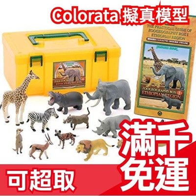 免運日本 Colorata 哺乳類動物立體圖鑑 衣索比亞區 擬真模型組 盒玩 考古生物科學 兒童節禮物❤JP Plus+