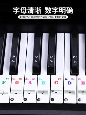 鋼琴彩色88/61/49/37鍵盤貼紙  透明貼紙五線譜電子琴簡譜音符鍵小家家樂