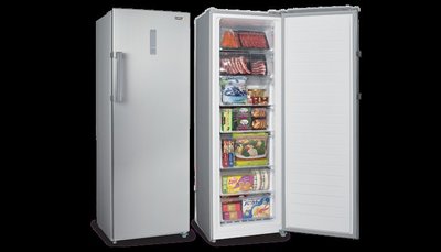 SAMPO 聲寶 242L 直立式 冷凍櫃  SRF-250F...$15500