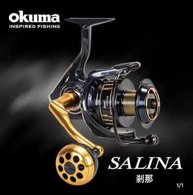樂釣網路釣具 ★ OKUMA 寶熊 SALINA 剎那 3代 海水專用紡車捲線器 10000型
