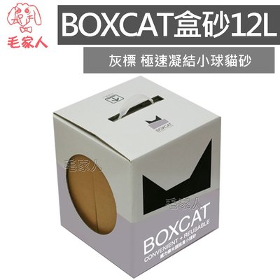 毛家人-【兩盒免運專區】國際貓家BOXCAT貓砂-灰標 極速凝結小球貓砂12L
