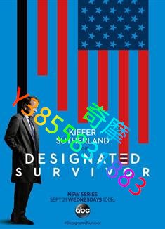 DVD 專賣店 指定倖存者第一季/Designated Survivor Season 1