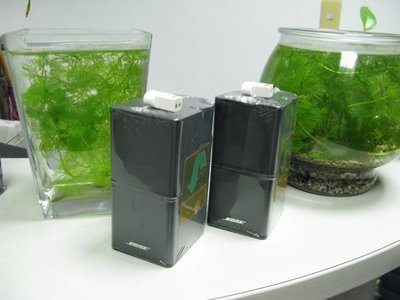 美國 BOSE Jewel Cube 寶石音箱  (黑色) 贈送專用喇叭接駁端子 (單支售價)