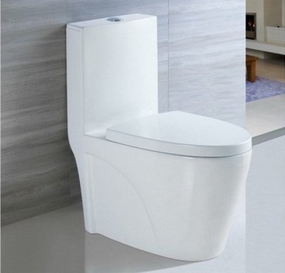 《優亞衛浴精品》ROMAX 羅曼史 R8029 旋風式單體兩段式馬桶