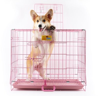 狗籠子小型犬中型犬大型犬兔籠泰迪金毛寵物籠不銹鋼色折疊籠