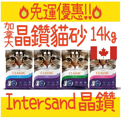 BBUY 免運 💥 加拿大 晶鑽 Intersand 貓砂 14kg