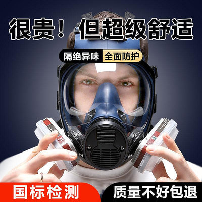 防毒面具全面罩生化噴漆護目鏡氨氣防護全臉專用呼吸油漆工防甲醛