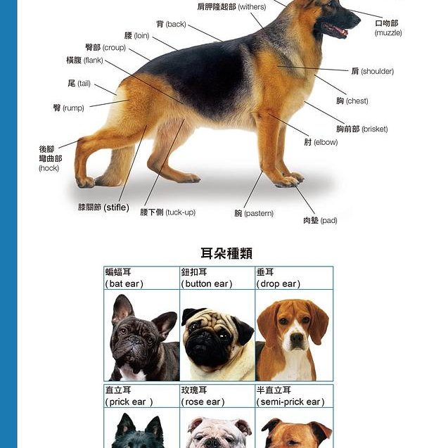 セール＆特集＞ デズモンド モリスの犬種事典 : 1000種類を越える犬