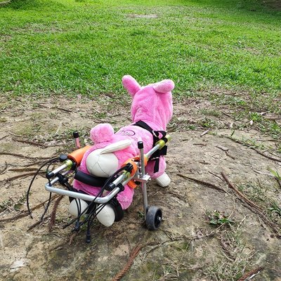 現貨 寵物推車超輕迷你型狗輪椅癱瘓殘疾貴賓吉娃娃泰迪博美后肢輔助寵物輪椅