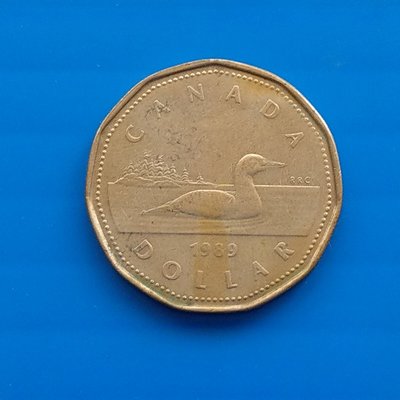 【大三元】歐洲錢幣-加拿大 (CANDA)1989年1 DOLLAR 硬幣~鎳鍍金青銅重7g直徑26mm