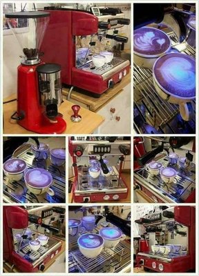 Yang La Vie元揚單孔咖啡機+楊家900N磨豆機特價組合