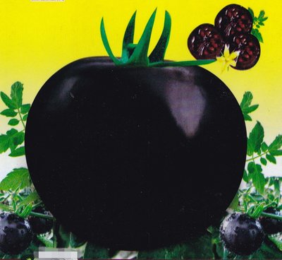 【大包裝蔬菜種子L428】大紫黑番茄~ 外觀美麗，既可食用又可以觀賞。單株結果多，酸甜可口，單果重150~200公克。