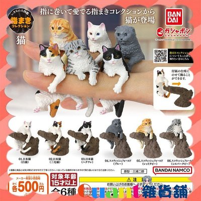∮Quant雜貨鋪∮┌日本扭蛋┐ BANDAI 指尖生物-貓篇 全6款 三毛貓 三色貓 賓士貓 蘇格蘭摺耳貓 轉蛋