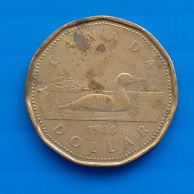 【大三元】歐洲錢幣-加拿大 (CANDA)1988年1 DOLLAR 硬幣~鎳鍍金青銅重7g直徑26mm