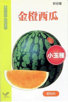 金橙西瓜(小玉種) 橙肉【蔬果種子】興農牌 每包約2ml