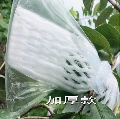 下殺 包郵芭樂番石榴套袋水果套袋專用農業有耳型防蟲袋防鳥*