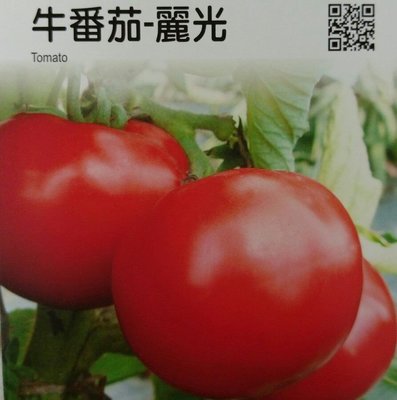 牛番茄【滿790免運費】牛番茄-麗光 農友種苗 "特選蔬果種子" 每包約20粒 保證新鮮種子