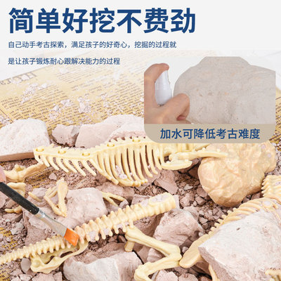 兒童考古挖掘恐龍玩具霸王龍diy手工拼裝模型盲盒科教玩具