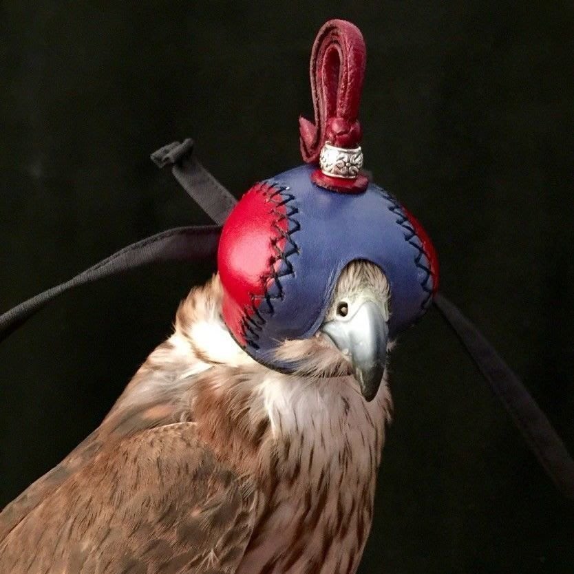 鷹具手工牛皮鷹帽子牛皮鷹眼罩荷蘭式鳥用品~爆款優惠價| Yahoo