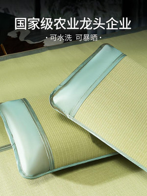 黃古林草席枕套一對裝學生枕席單人透氣夏季涼席乳膠夏天然枕頭套