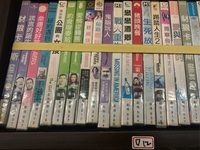 【超級賣二手書】正版DVD-電影《遺忘在公園的女孩》-雪歌妮薇佛、凱特柏絲沃、凱莉蘿素