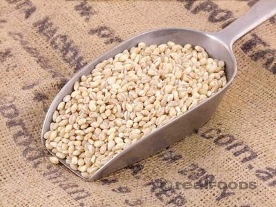 熊安心 天然QQ高纖 有機珍珠大麥 有機珍珠薏仁 Organic Pot Barley 500g