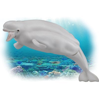 日版 TAKARA TOMY ANIA 探索動物系列 AS-16 白鯨魚 部份可動 新品