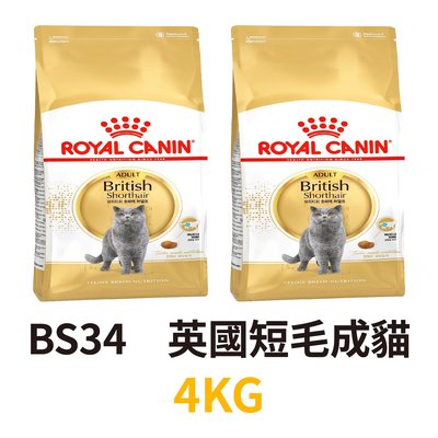 ✪第一便宜✪ 皇家 BS34 英國短毛成貓 4KG / 4公斤 英國短毛貓 英短 藍貓