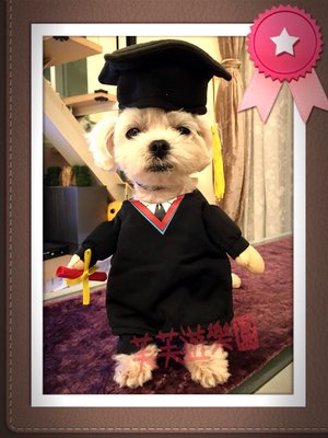 ۞芙芙遊樂園۞（現貨）2017kojima寵物狗狗貓咪衣服 畢業生 學士服 搞怪變身另類裝搞笑泰迪服裝