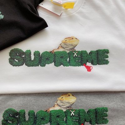 美國supreme潮牌box logo Lizard Tee 新款蜥蜴植物字男女裝黑白粉色短