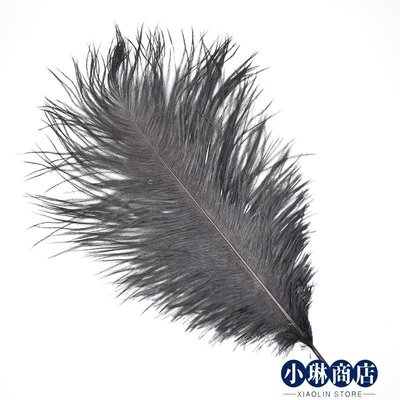 免運-35cm長鴕鳥毛  飛釣飛蠅鉤綁制材料 Ostrich Feather 毛鉤羽毛-小琳商店