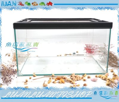 【魚店亂亂賣】HIROTA玻璃爬蟲箱RP-4525型45*30*26cm兩棲.寵物缸(烏龜養殖缸)台灣宣龍