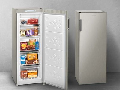 ＊可議價＊Panasonic 國際牌 170公升 直立式無霜冷凍櫃 NR-FZ170A-S