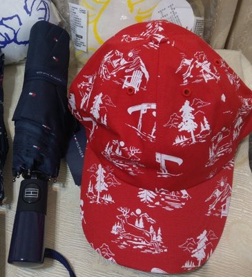 Roots 加拿大特色 紅色棒球帽 可調整頭圍 全新品 購至加拿大