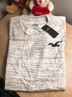 Hollister海鷗短袖 HCO男生上衣T恤 零碼M 加拿大代購