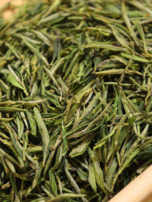 高山茶安徽黃山毛峰新茶葉明后頭采高山品質口糧茶