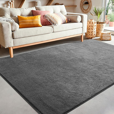 廚房地墊 防滑墊 家用地毯 家用簡約素色客廳大地毯方形臥室沙發仿羊絨地墊床邊毯毛絨防滑墊