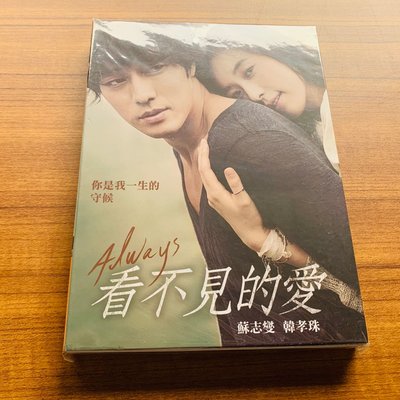 【DVD】看不見的愛(台版、韓孝周、蘇志燮）-已拆封